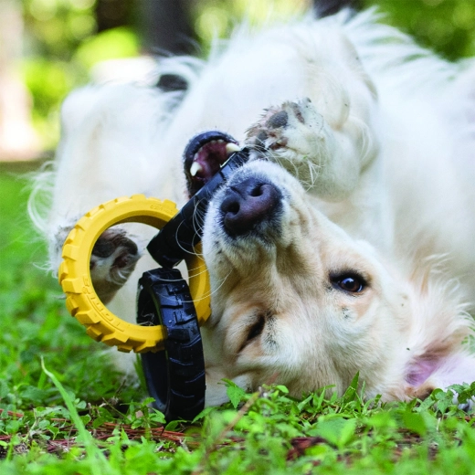 Interaktív szórakozás bent és kint