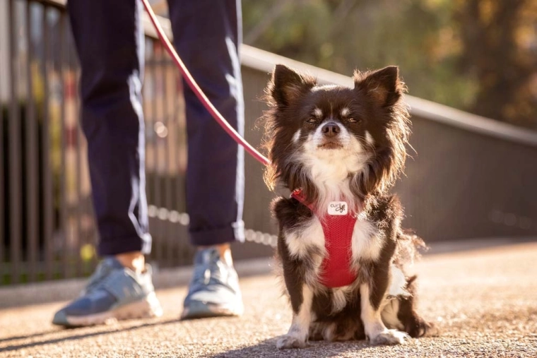Légáteresztő Air-Mesh hűsítő hatással