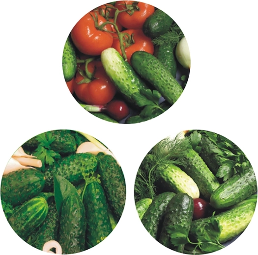 Fém befőttesüveg-fedél készlet fi 66 (6,6 cm), 4 füllel – uborka mintával (10 db)