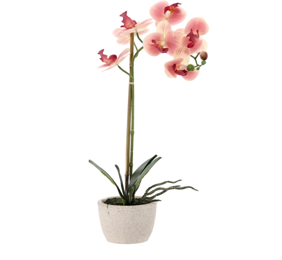 Egész évben gondozás nélkül