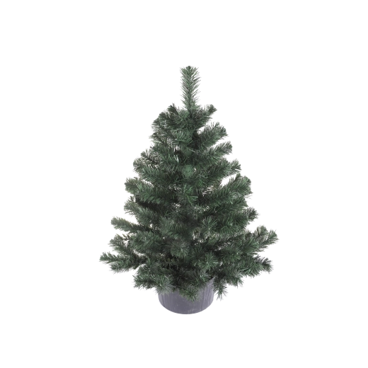Montana lucfenyő virágcserépben 80 cm - 1 db