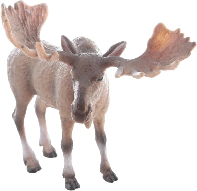 Valósághű kivitel élethű élményért