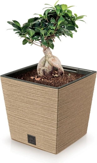 Modern, négyzetes forma alacsony profillal