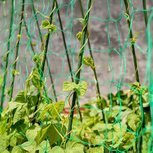 Függőleges támasz a bőséges termésért