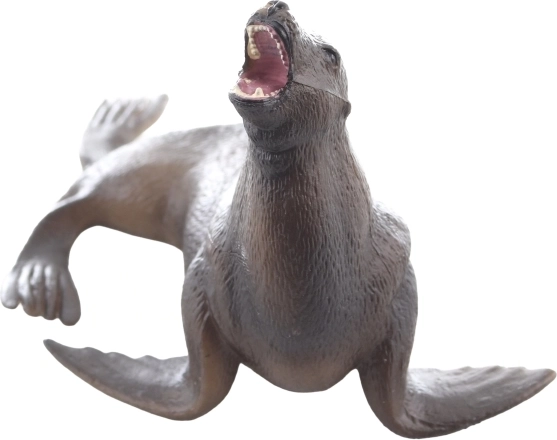 Remek a tengeri állatok megismeréséhez