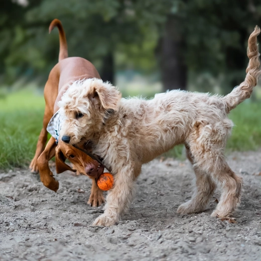 Kötél dobáshoz és húzáshoz