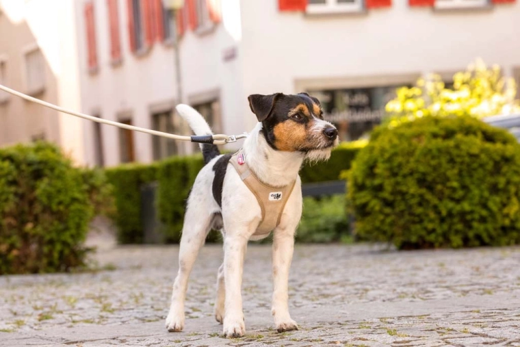 Biztonság minden lépésnél