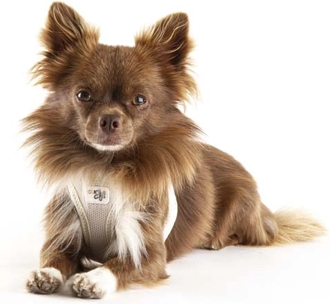 Ergonomikus szabás nyakterhelés nélkül