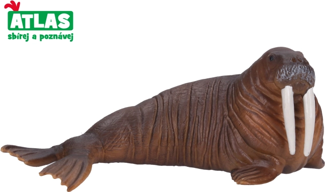 Mroz figura