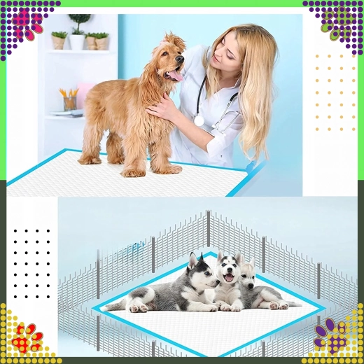 Tisztaság a tréning és az ápolás során