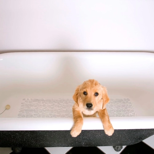 Kényelem és talpvédelem