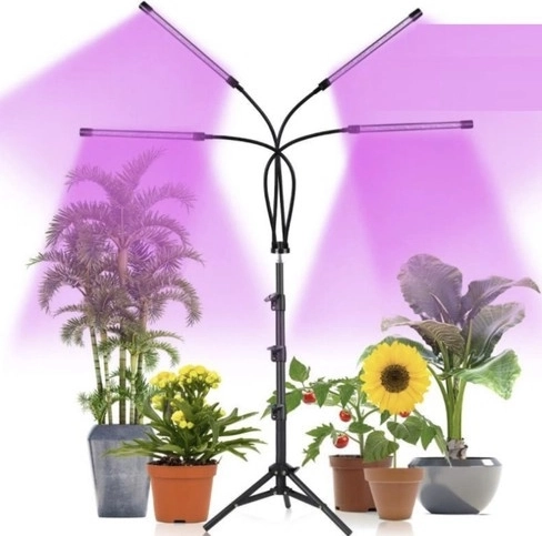 Vörös és kék LED a fotoszintézis támogatásához