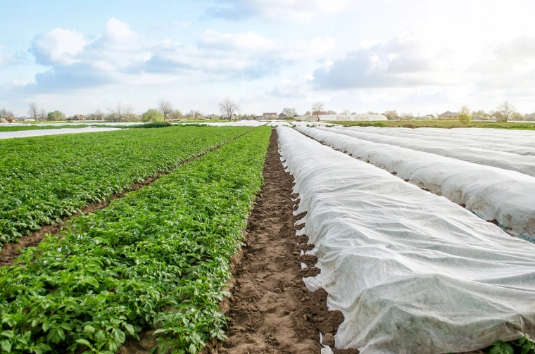 Megtartja a hőt és felgyorsítja a szezon kezdetét