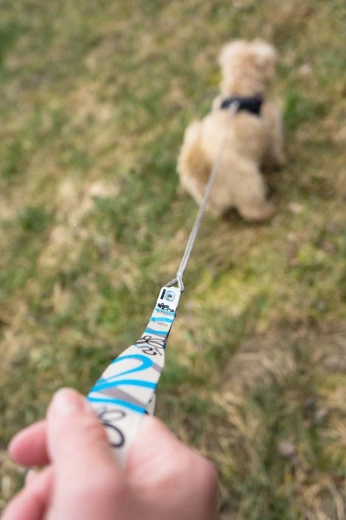 Tartós rozsdamentes karabiner