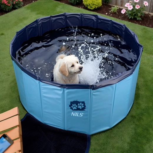 Ideális felfrissülés kis és közepes kutyáknak