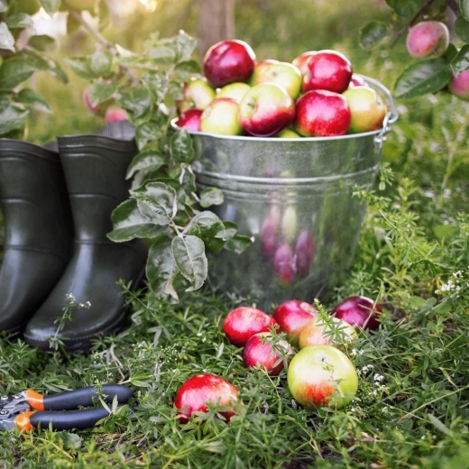Sokoldalú felhasználás otthon, a kertben és az építkezésen