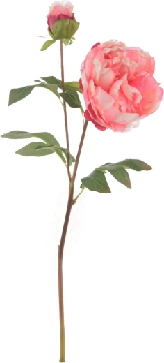 Mű pünkösdi rózsa, rózsaszín, 50 cm