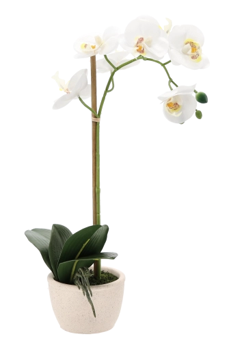 Stabil és elegáns cserép