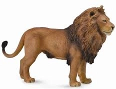 CollectA afrikai oroszlán figura