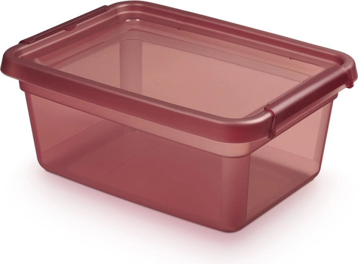 BASESTORE tároló műanyag doboz fedéllel és csatokkal 12,5 l rhubarb