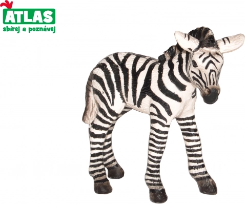 Zebra csikó figura 7 cm