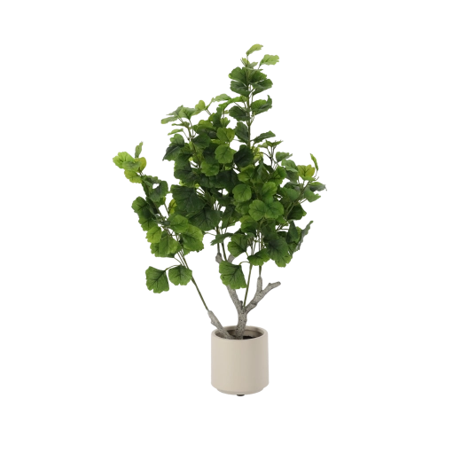 Műginkgo cserépben, 95 cm