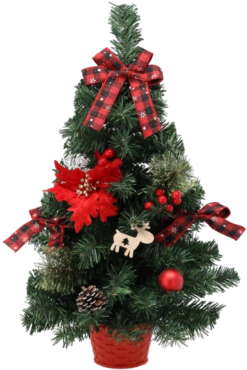60 cm-es karácsonyfa, piros, mikulásvirággal, kaspóban