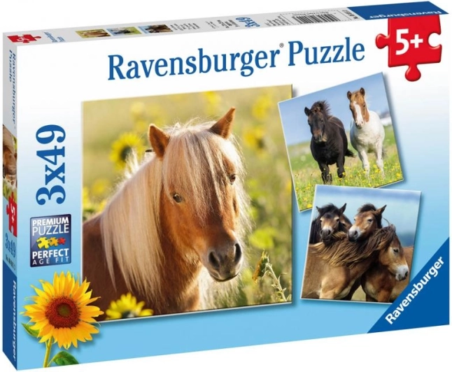 Ravensburger puzzle – aranyos lovak 3×49 darab