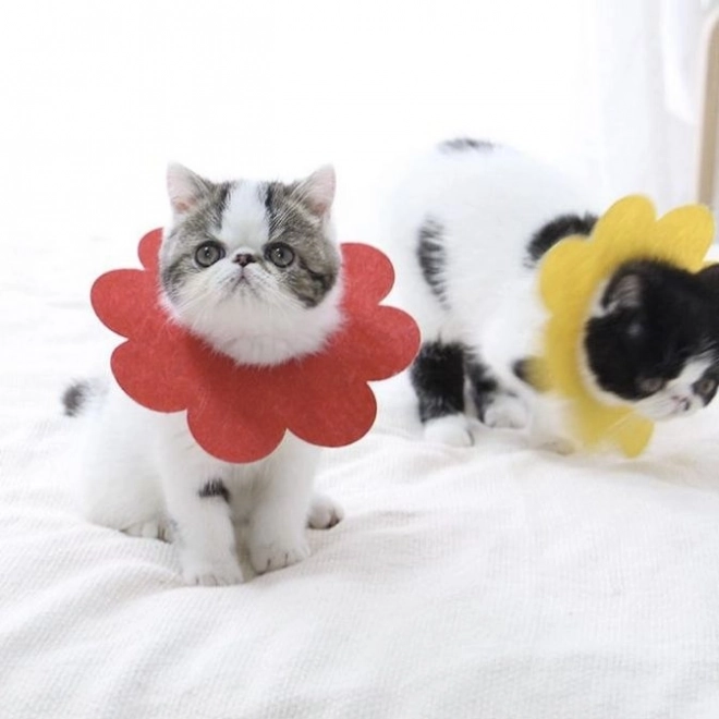 Puha posztoperatív védőgallér házi kedvenceknek, piros – L méret