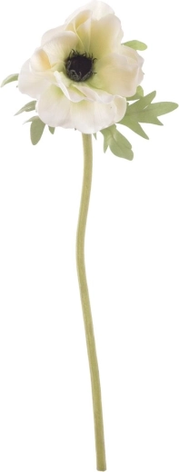 Művirág fehér vadmák 50 cm