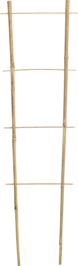 Dupla bambusz támasz futó növényekhez 45 cm