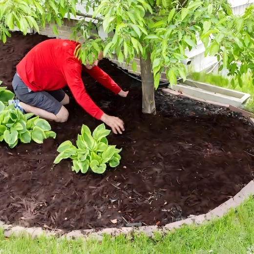 Kerti gyomfogó textília 70 g/m², 1,1 × 50 m, fekete, UV-stabilizált