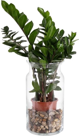 Bose üveg váza 15,5 × 29,5 cm