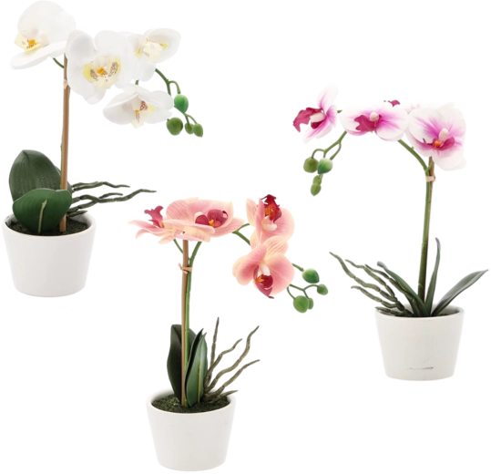 Mű orchidea, vegyes színekben, 30 cm