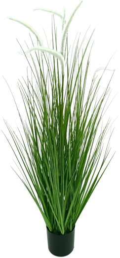 Mű pennisetum díszfű cserépben, fehér, 120 cm