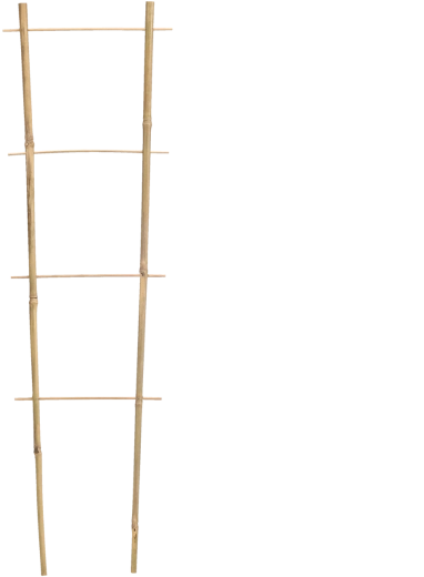 Bambusz kerti futónövény-támasz 90 × 35 cm, átmérő 10/12 mm