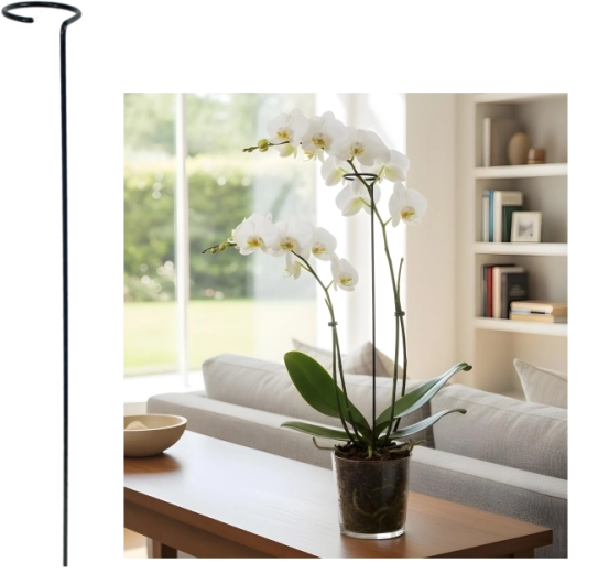 Egyszerű növénytámasz 60 cm