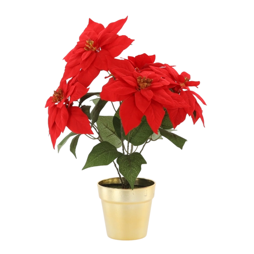 Mű karácsonyi csillag arany kaspóban, 49 cm