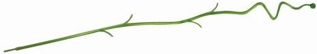 COUBI orchidea támasz 4,2 × 60 cm – áttetsző színek vegyesen
