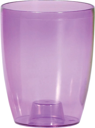 Coubi Orchid orchidea cserép 13 cm – átlátszó lila