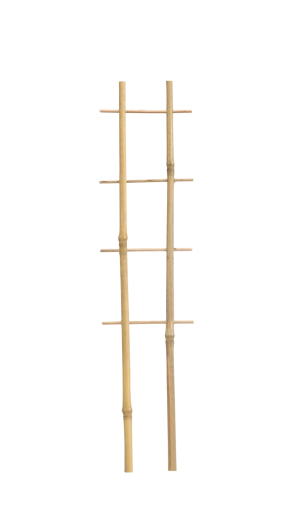 Bambusz dupla növénytámasz 37 cm