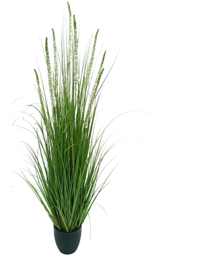 Mű sóska dekoratív cserépben, 150 cm, Garden Line