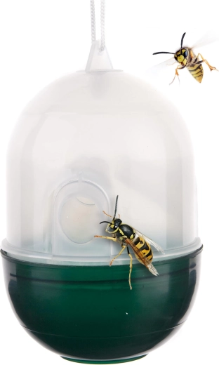 Átlátszó/zöld műanyag darázscsapda 8 × 11 cm