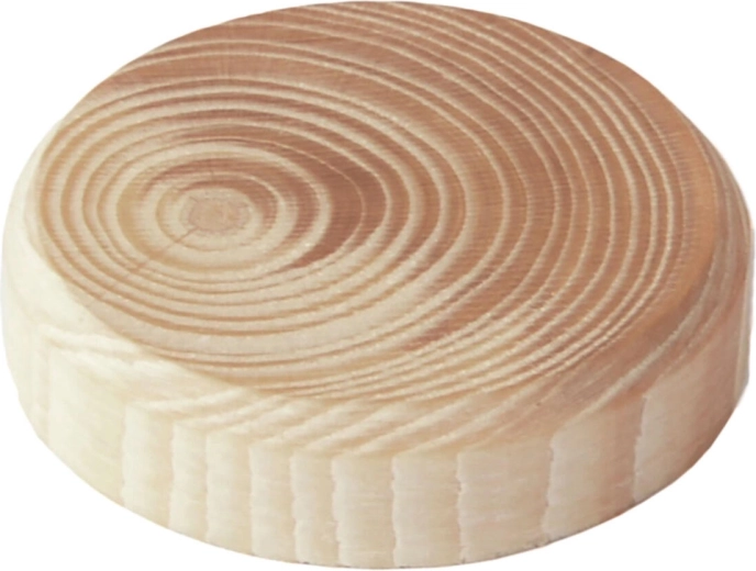 Fa ágrögzítő dugók 40 × 7 mm, 8 db