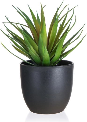 Műgladiolusz műanyag kaspóban, 19 cm