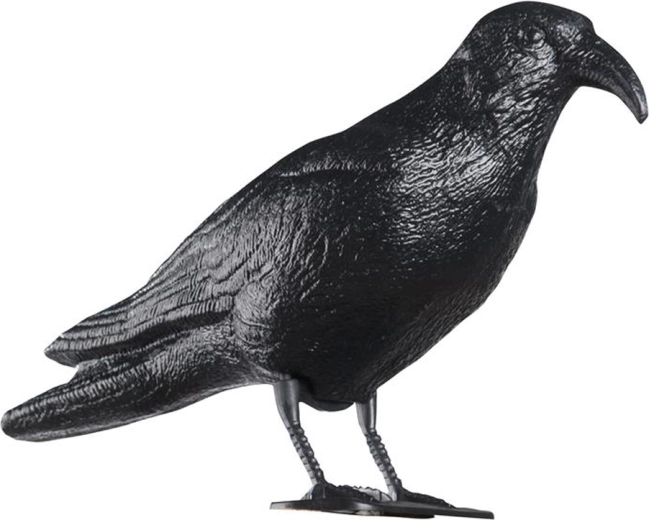 Műanyag varjú galambriasztó