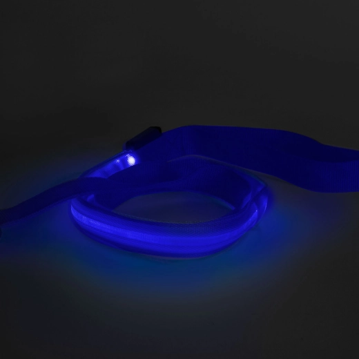 LED-es póráz akkumulátorral, 120 × 2,5 cm, kék