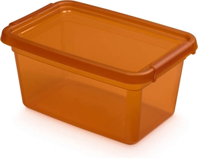 Basestore tárolódoboz fedéllel és csatokkal 4,5 l, borostyán (amber)