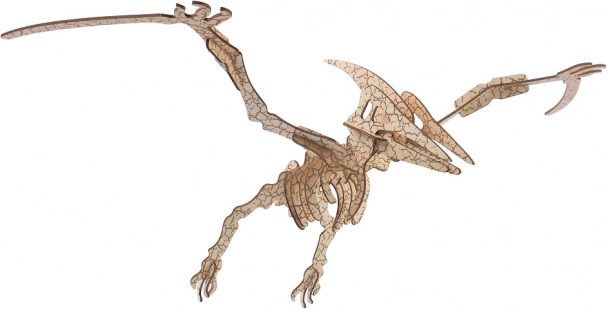 Woodcraft fa 3D puzzle – pteroszaurusz