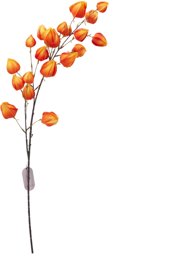 Szintetikus dekoratív krém színű ágacska 97 cm